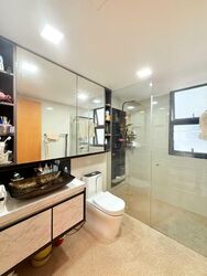 Blossom Residences (D23), Condominium #563473061